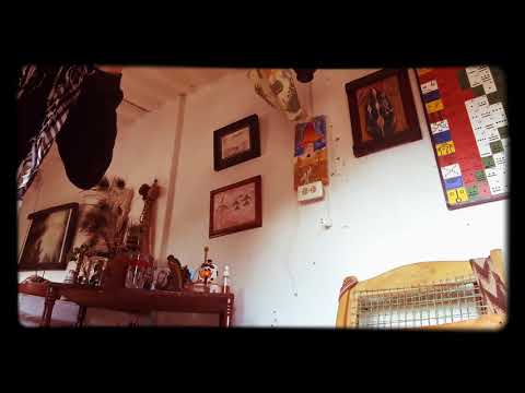 Brilla un colibrí - Tahamies (Honores/ Lenín Córdova).