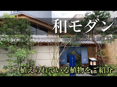 plantes vivaces graminées terrasse-mobilier-jardin