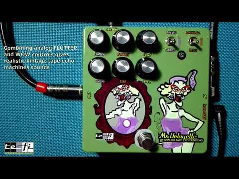 Focusing on MS. DELAYETTE, echo/reverb machine - TEFI Vintage Lab