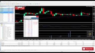 Fxprimus binary options