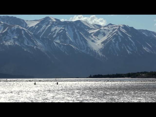 Surfing Alaska's Turnagain Arm Bore Tide