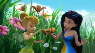 Disney Fairies funny | disney cartoon