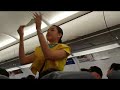 Flight Stewardess 92618