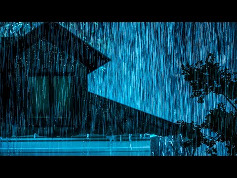 Night Rain and Lluvia Serenata