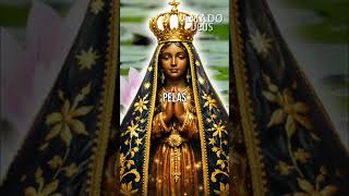 Nossa Senhora Aparecida_ O Milagre, oração da noite | Amado Deus.