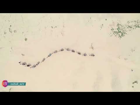 TÜRKÇE MEVLİD EN ÇOK İSTENEN BÖLÜMÜ 5. BÖLÜM ᴴᴰ | Mesut Biçim - Zahidar (MERHABA YAR)