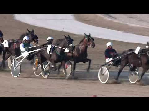 2019.02.16. 04. futam - NYAKAS HENDIKEP