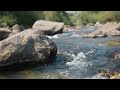 Dylan 2026 Water 15