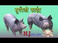 Nepali Funny Jokes Part 2