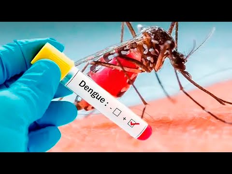 Los casos de dengue se incrementaron casi al doble en la última semana