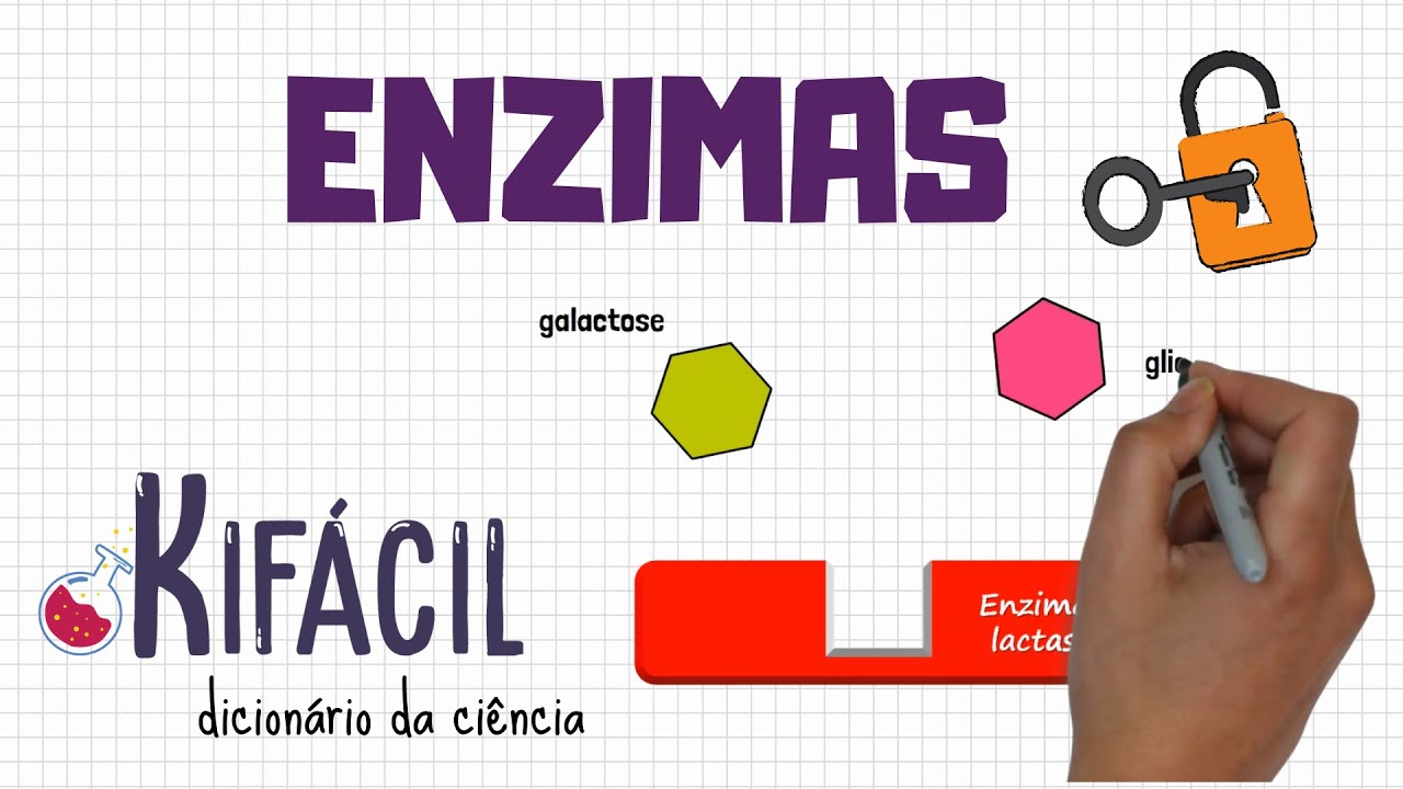 Enzimas