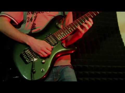 Steve Vai - I Would Love To (cover)