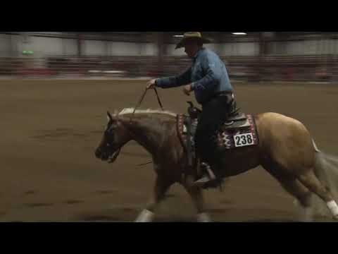 210410 Open Derby Sam Schaffhauser on Gold N Ebony