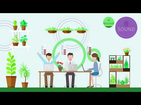 VERDENIA（ヴェルデニア）