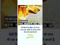 Roti Khilane Ki Aukat Neha Na Hoto Mara Bhi Mat Karo क्यों चोट सबको लग�