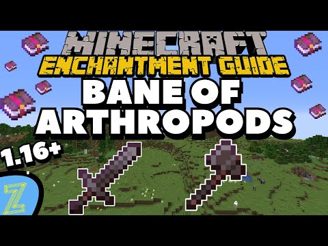 Zacktivate - Minecraft Bane of Arthropods Enchantment Guide  | Minecraft 1.17 Enchantment Guide