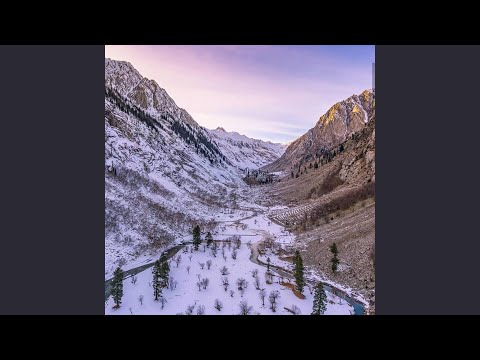 Invincible Invitation