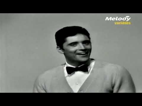 The Hives Vs Sacha Distel - Monsieur Cannibale Offender - Disfunctional DJ Mashup