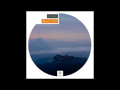 Doyeq - "Alley Cat" / Human Resources Label HR045