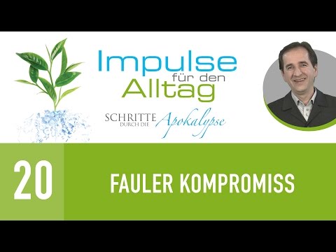 20. Fauler Kompromiss - Schritte durch die Apokalypse - Peter Zaiser