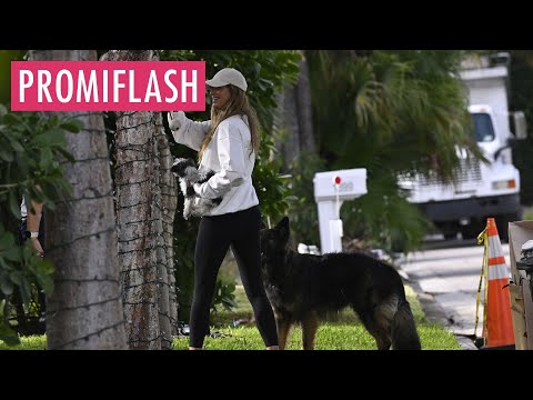 Video Thumbnail: Schwangere Gisele Bündchen strahlt bei Spaziergang in Miami