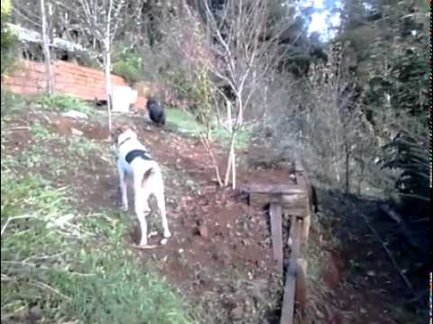 Cuenta la historia que alguna vez tuvo fractura de cadera