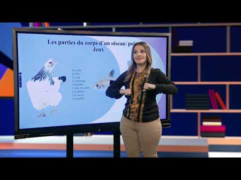 TeleŞcoala: Limba franceză – Apprenons le français – lecţia 6  (@TVR2)