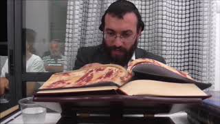 הרב מיכאל רביע | פרשת מטות