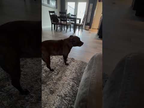 When you just had breakfast, but you feeling like you are ready for a snack….