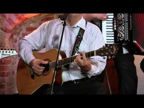 Dzintara dziesma 2014 TOP 36