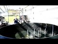 Modern Koi Blog #930 - So kann man Biofilter auch einfahren Modern Koi Blog #930 - So kann man Biofilter auch einfahren