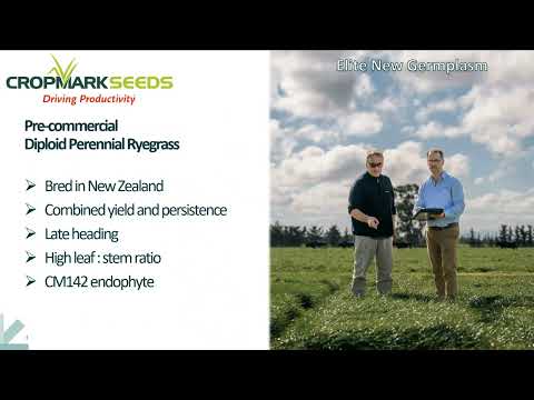 Cropmark Seeds: Novel Endophyte Within Perennial Ryegrass