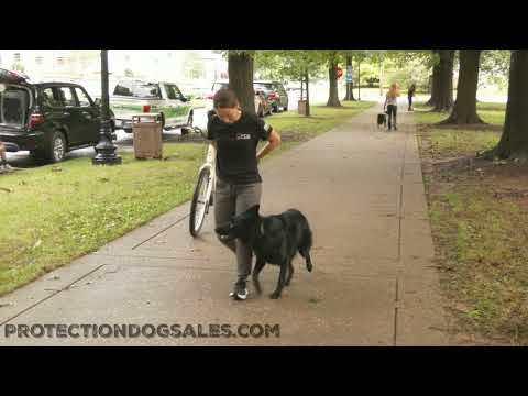 Life Skills Video Update With "Beth" Offsite