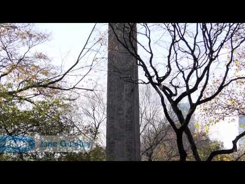 Central Park | The Coolest Stuff on the Planet