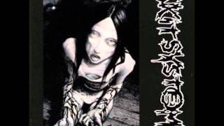 Skitsystem - Solidaritetens Sista Utpost