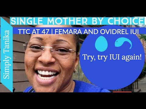 TTC at 47 | Femara and Ovidrel IUI Video
