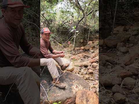 TEM MUITO OURO AQUI 💰💰💰VALE DO JEQUITINHONHA MG 🇧🇷 #rio #natureza #minasgerais