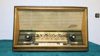 Saba Freudenstadt 100