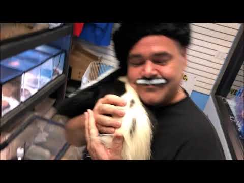 Baby skunk "I Never Smelled Love Like This Before" (*Not my music, no rights to this music)