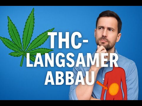 Warum bleibt THC im Körper? – Und warum wird es so langsam abgebaut?