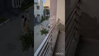 Intentional Nuisance @GNC Hsp,...