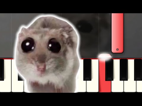Sad Hamster Violin Meme [Piano Tutorial]