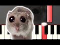 Sad Hamster Violin Meme [Piano Tutorial]