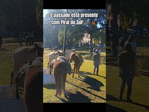 Tropeiros e Paisagens Deslumbrantes em Piraí do Sul