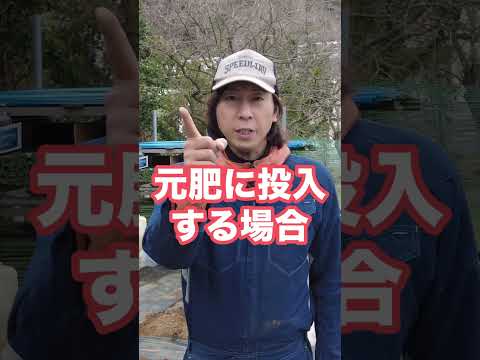 どの植物が肥料を好まないのか 乾燥肥料として鶏糞を使用する 天然肥料としてマルチングする トマト ビデオ 窒素