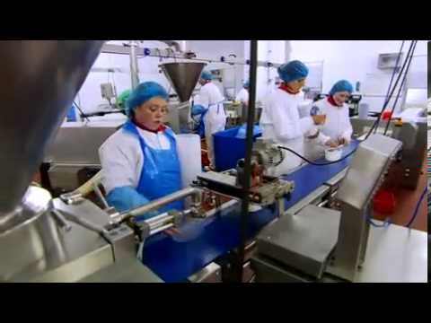 Paddy Callaghan - Nature's Best Ltd (Profile)