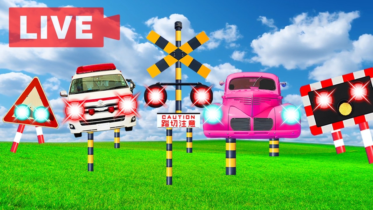 【踏切アニメLIVE】 #273 今日はどんなカンカン踏切ハプニング？｜毎日更新中！