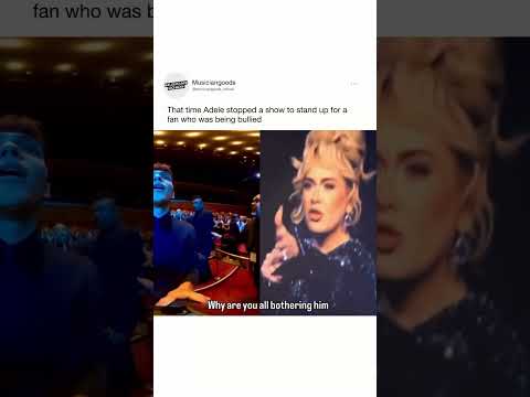 Adele Stops Her Show to Protect A Fan