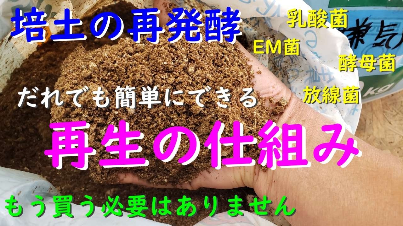【決定版】もう買わない！使い古した培土の有用菌再生術教えます