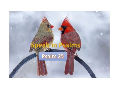 Psalm 25